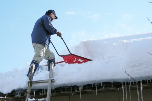 全商品耐雪2.5mが標準仕様